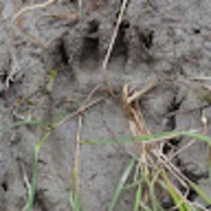 Meet your Posher, Don